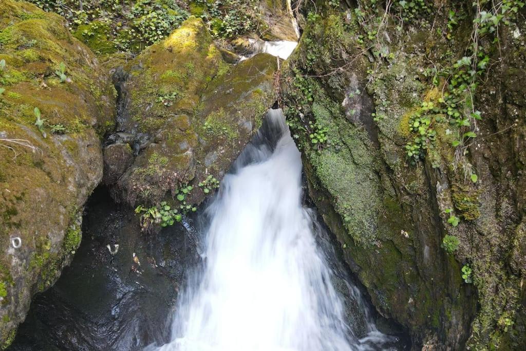 Naou Costes, Modernite Et Confort Au Coeur Des Montagnes Luz-Saint-Sauveur Zewnętrze zdjęcie